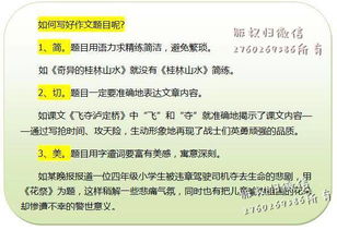 四個(gè)作文題目四個(gè)開頭