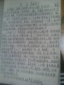 關于愛的記敘文范文(關于愛的記敘文)