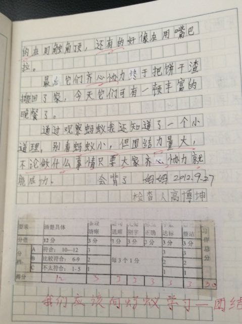 三級母愛作文開頭