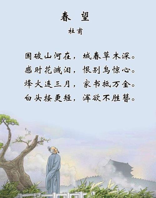 關(guān)于杜甫的詩的作文開頭