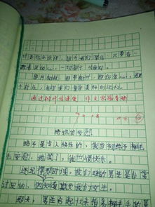 四級作文精彩開頭結(jié)尾練筆