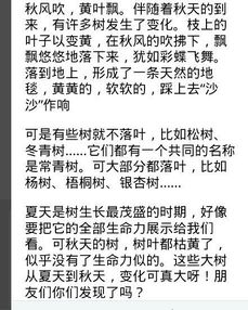 作文,描寫,開頭