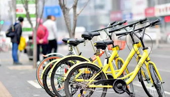 共享單車作文開頭句