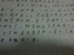 作文,開頭,家鄉(xiāng)