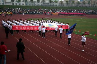 關(guān)于運(yùn)動(dòng)會(huì)的報(bào)道稿(關(guān)于運(yùn)動(dòng)會(huì)的報(bào)道稿)