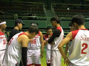 籃球賽的感想作文開頭