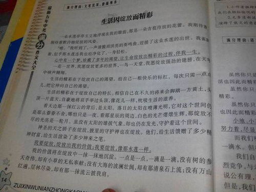 高中以收獲為題作文600字作文開頭和結(jié)尾