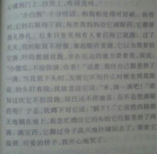 作文,該怎么,小動物,開頭