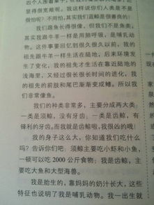 鯨的自述作文的好開頭