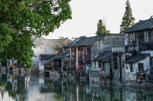 春游千燈古鎮(zhèn)作文開頭