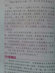 拔河比賽記敘文600字作文開頭