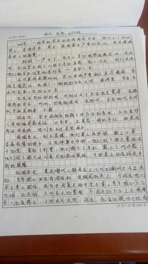 書法藝術(shù)作文(書法藝術(shù)作文)