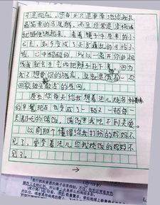 報(bào)答母親作文開頭