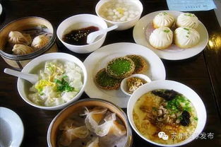 蘇州的美食作文(蘇州美食盤(pán)點(diǎn))