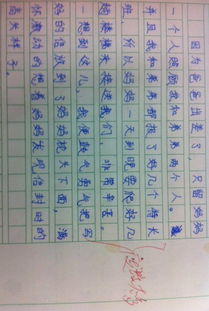 關于媽媽的改變作文開頭