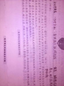 作文,開頭,榮譽(yù),家庭