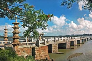 泉州洛陽橋作文開頭