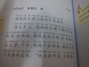 從失敗中得到啟示作文開頭