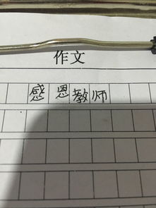 感恩老師寫100個字以上作文開頭結尾