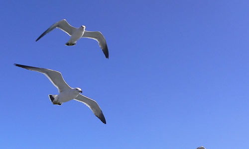 我向往的一所中學(xué)作文開頭結(jié)尾