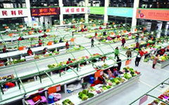 去菜場作文(去菜場買菜作文550字)