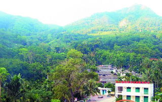 談森林生態(tài)效益補償機制(森林生態(tài)效益補償試點工作匯報)