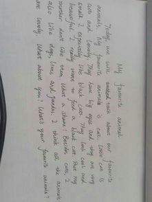 喜愛(ài)的小動(dòng)物英文作文開(kāi)頭