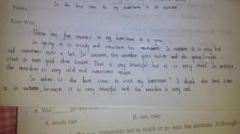 幫助別人的英語作文,教別人學(xué)英語的英語作文,給別人學(xué)英語的建議英語作文