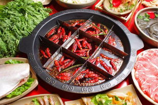 重慶火鍋作文好開頭