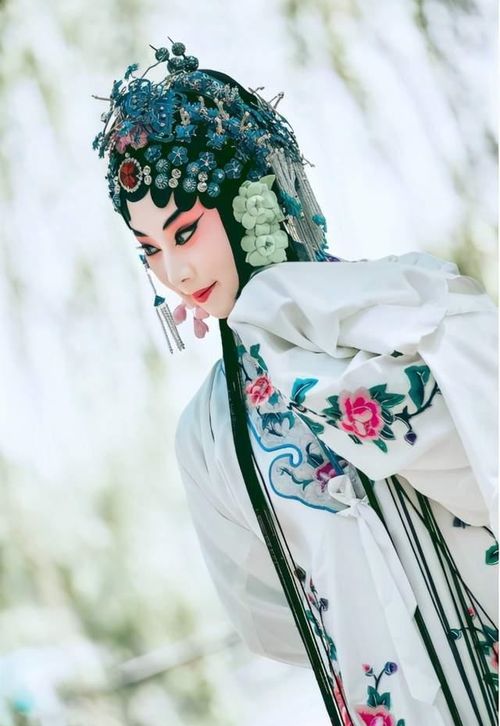 對(duì)歷史人物說的作文開頭