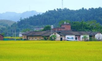 描寫田園風(fēng)光的作文的開頭