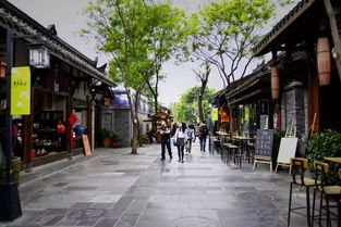 寫遺跡的作文寬窄巷子開頭結尾