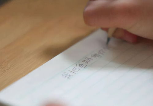 寫海上的垃圾的作文開頭