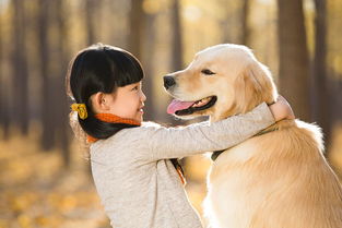 狗人類最忠實(shí)的好朋友作文開頭