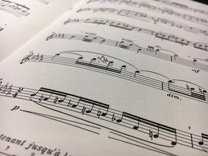 關(guān)于把握的作文開頭