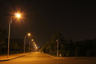 路燈的借物喻人作文開頭