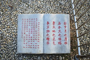 身邊的風(fēng)景也動(dòng)人記敘文600字作文開頭