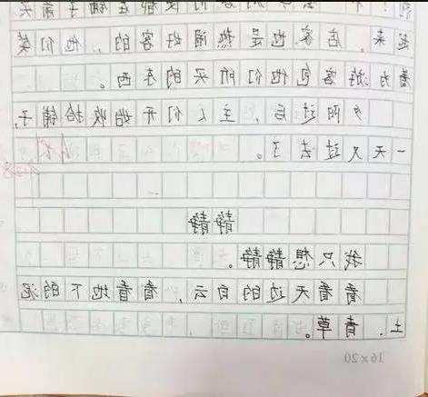 謝謝了我的家六級作文開頭