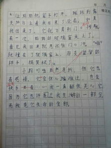 人與動物友誼的作文開頭