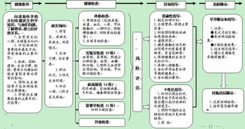 建設(shè)項(xiàng)目實(shí)施方案(學(xué)校建設(shè)項(xiàng)目策劃書)