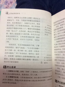小學(xué)作文開(kāi)頭設(shè)置懸念例子