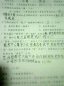 你給我一扇窗作文開(kāi)頭