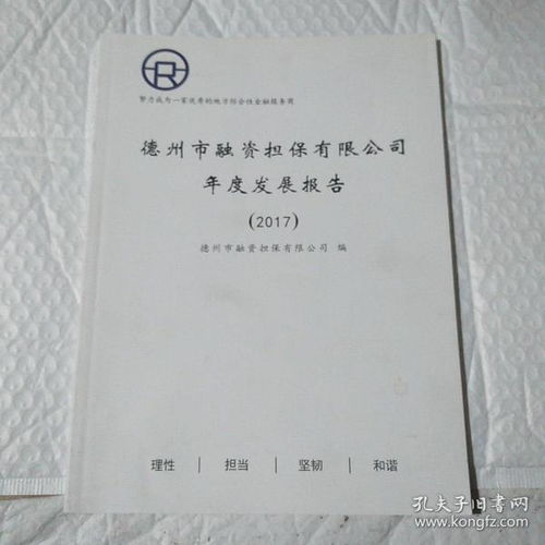 擔(dān)保公司年度總結(jié)報(bào)告(投資擔(dān)保公司年度年終工作總結(jié)報(bào)告)