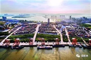 長江新城建在哪兒？(宜家到底建在哪？)