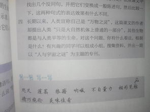 敬畏自然的作文開頭