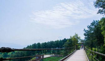 去鐵山坪作文的開頭