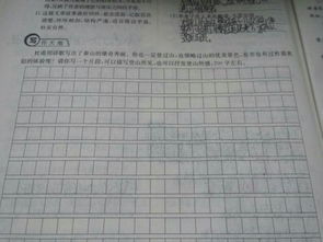 關于爬山的作文開頭6