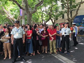 真沒想到開頭的作文