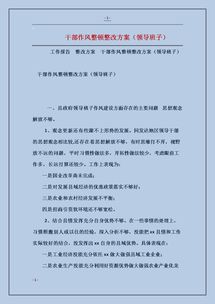 班子整改落實情況報告范文(領導班子整改落實情況報告)