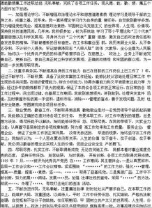 德能勤績(jī)廉總結(jié)()